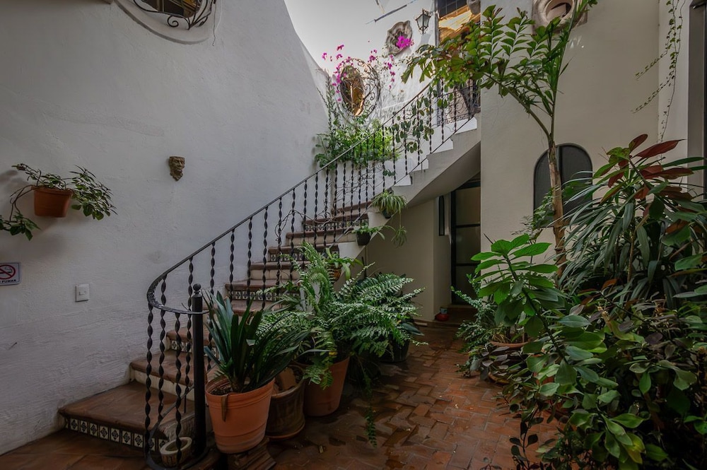 Casa Xola - Property Image 8