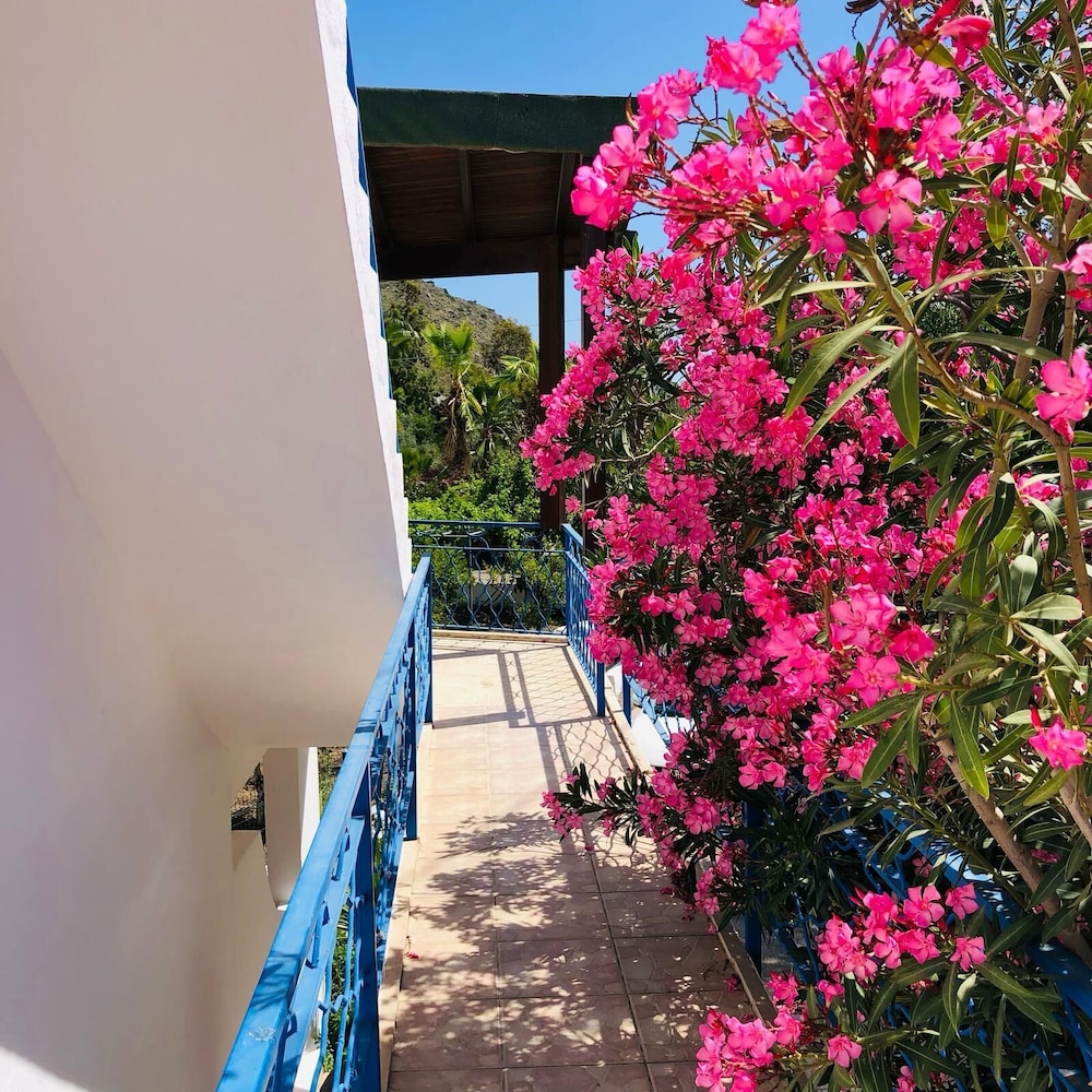 Aslı Motel