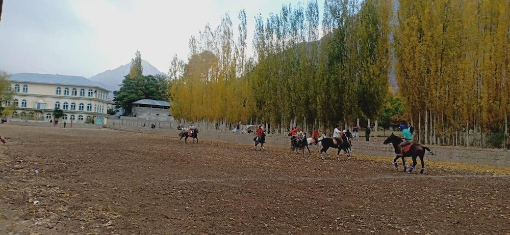 Photo 6