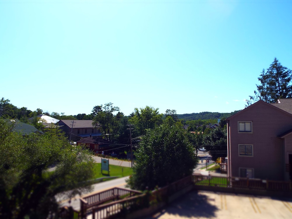 Photo 47