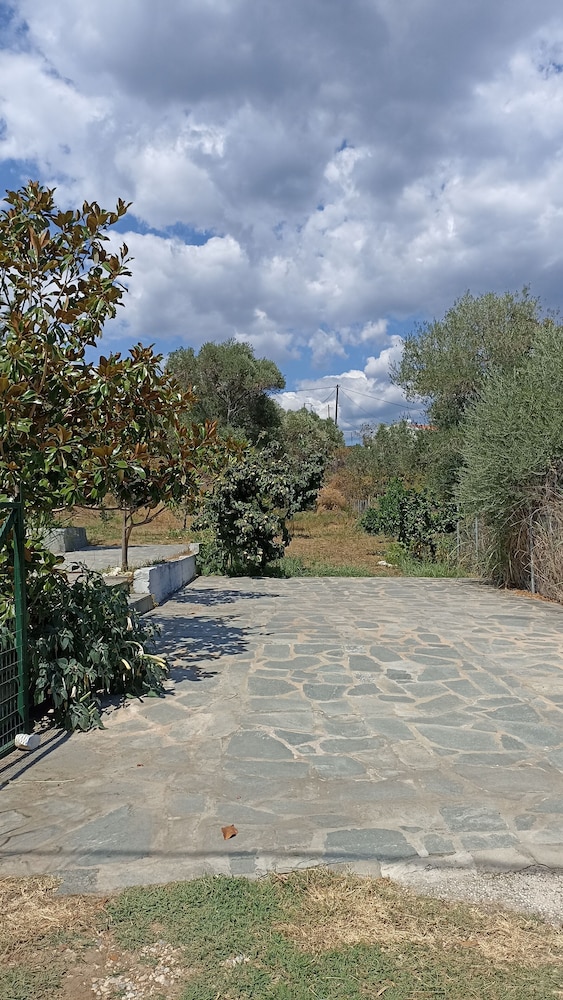 Photo 42