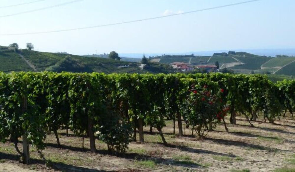Agriturismo Cà Trinchè