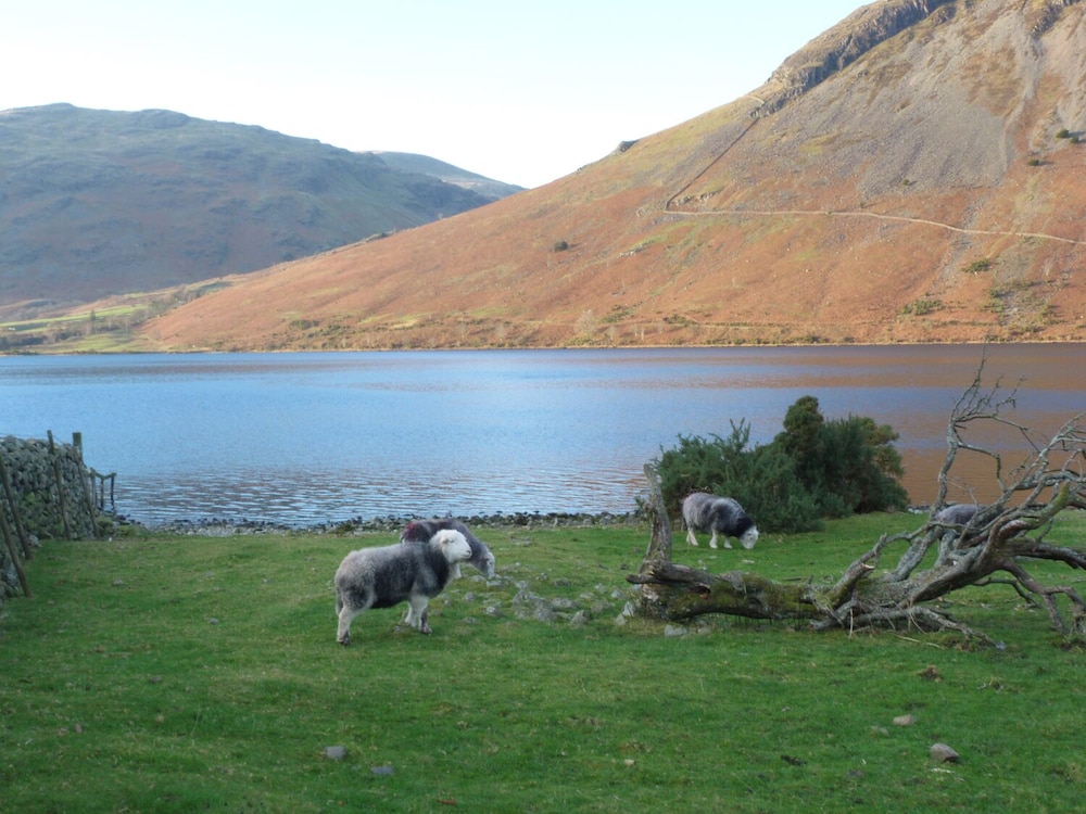 Lazey Cottage