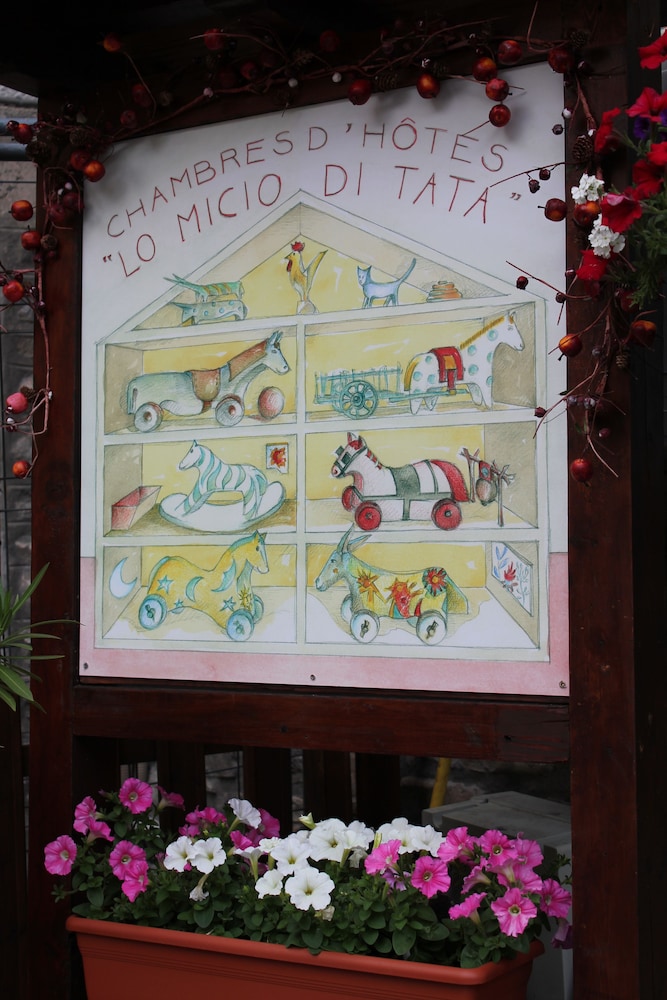 Lo Micio di Tata
