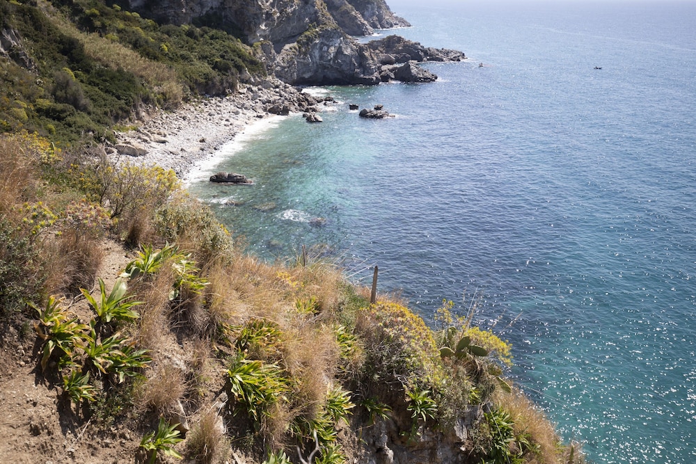 Photo 43