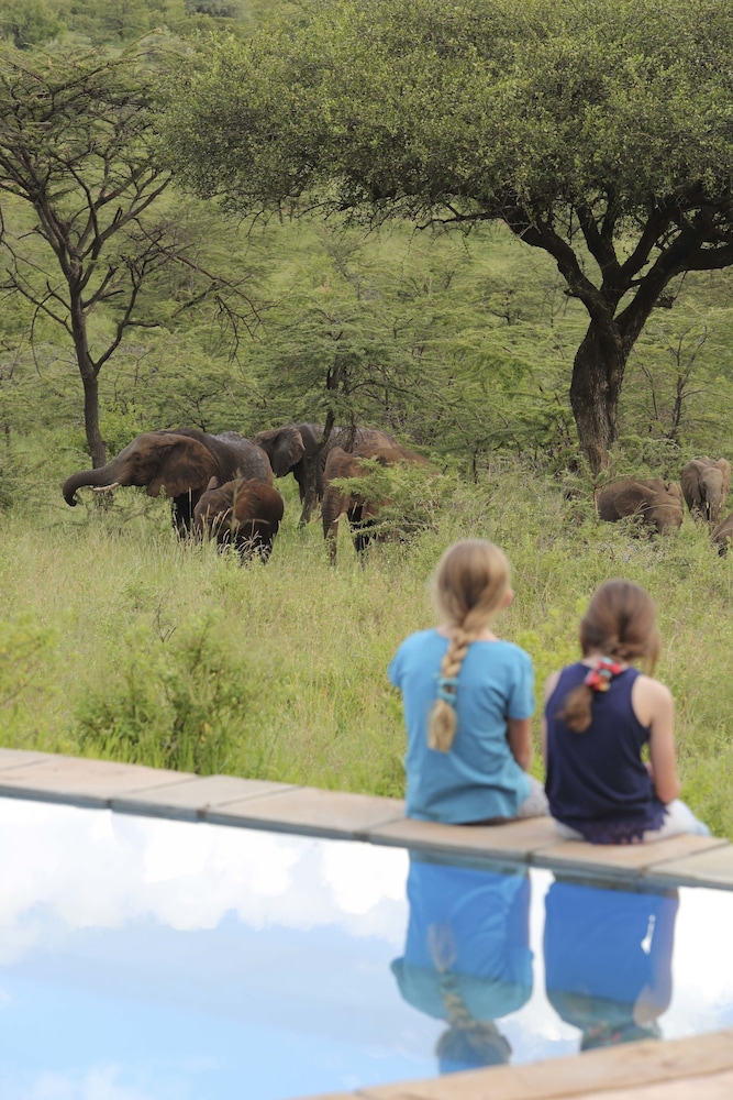 Spirit Of The Masai Mara