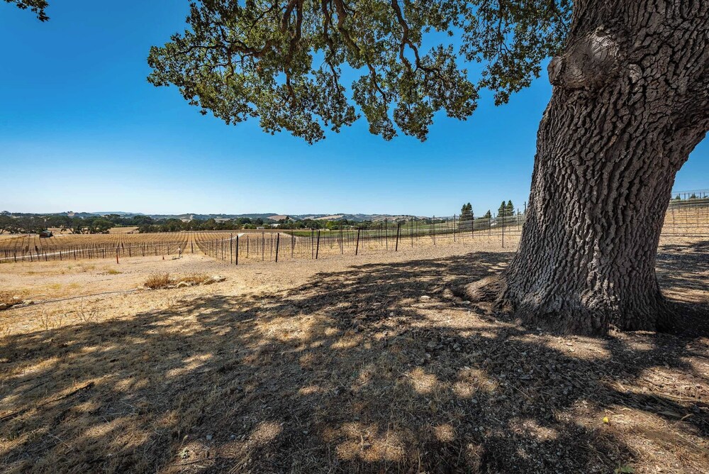 Mission Vineyard Barn