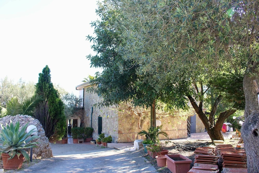 Photo 45