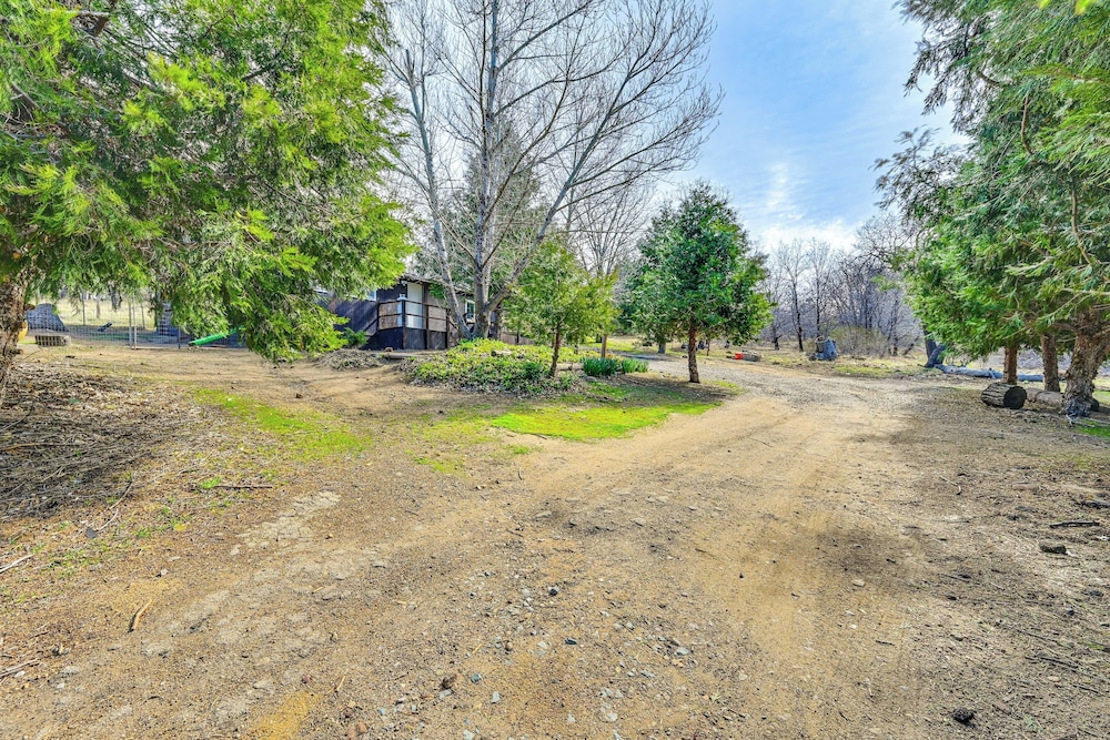 Near Hiking & Mtn Biking: Cozy Cabin in Mt Laguna!