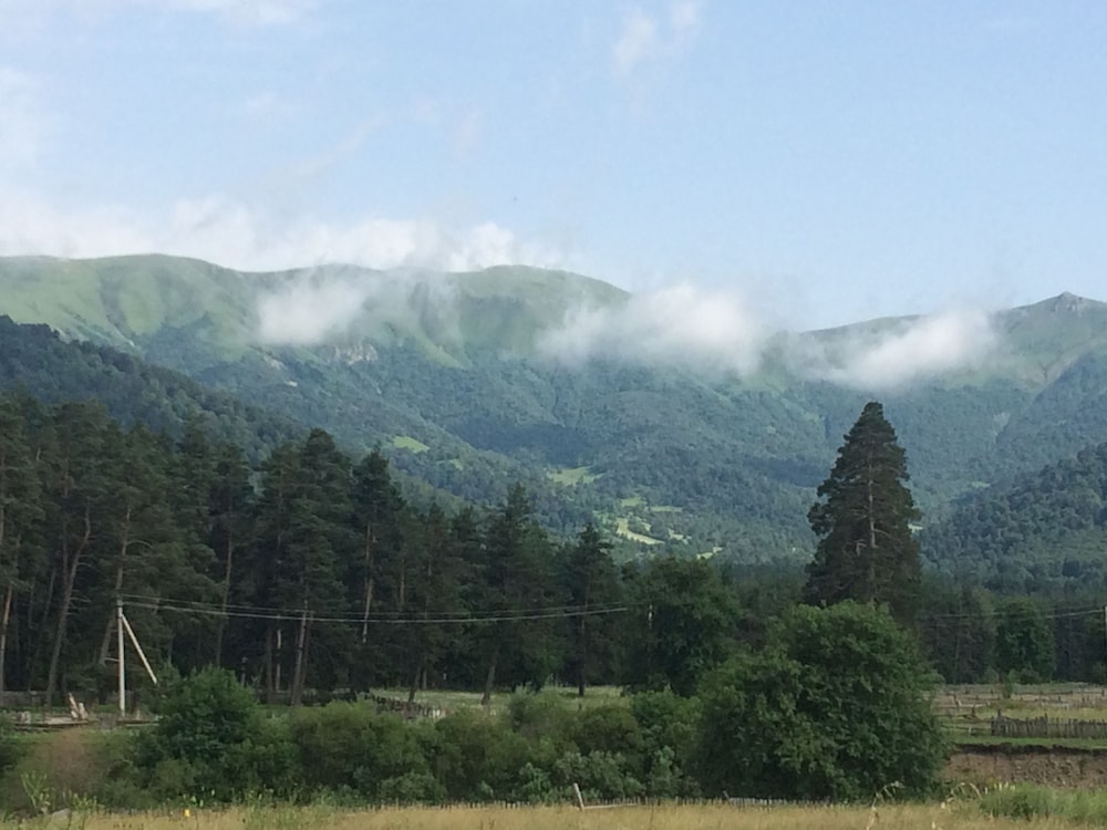 Mount view