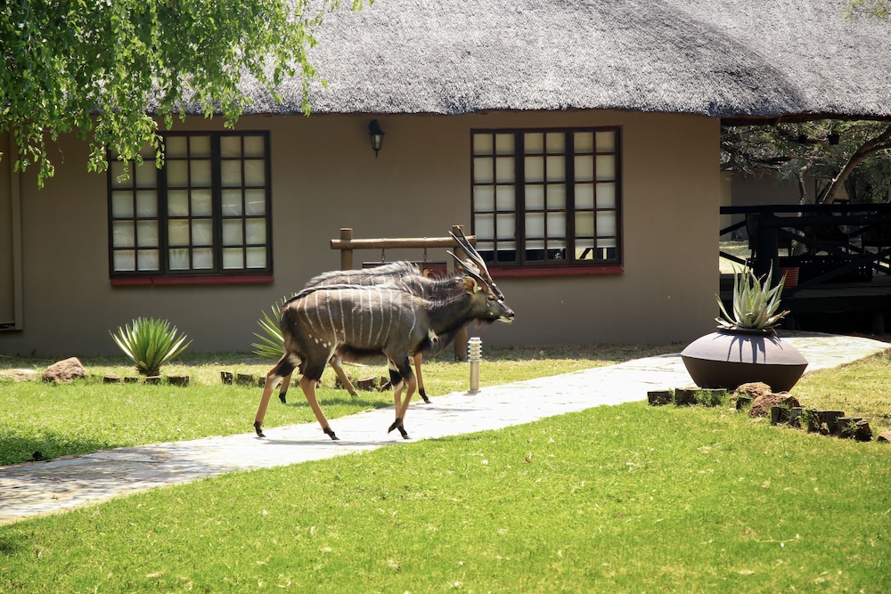 Finfoot Lake Reserve by Dream Resorts