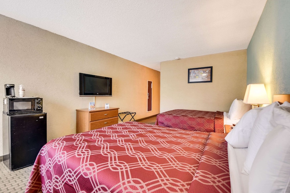 Tampa Vacations - Econo Lodge Busch Gardens - Property Image 3