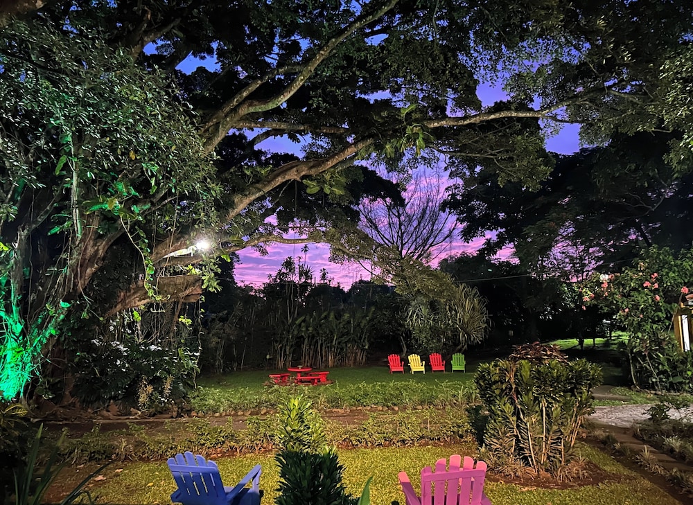 Photo 100