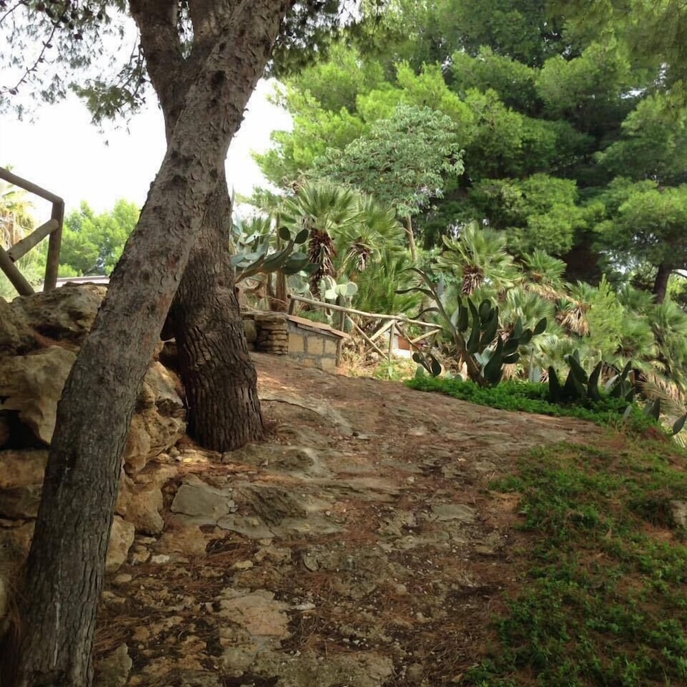 Photo 29