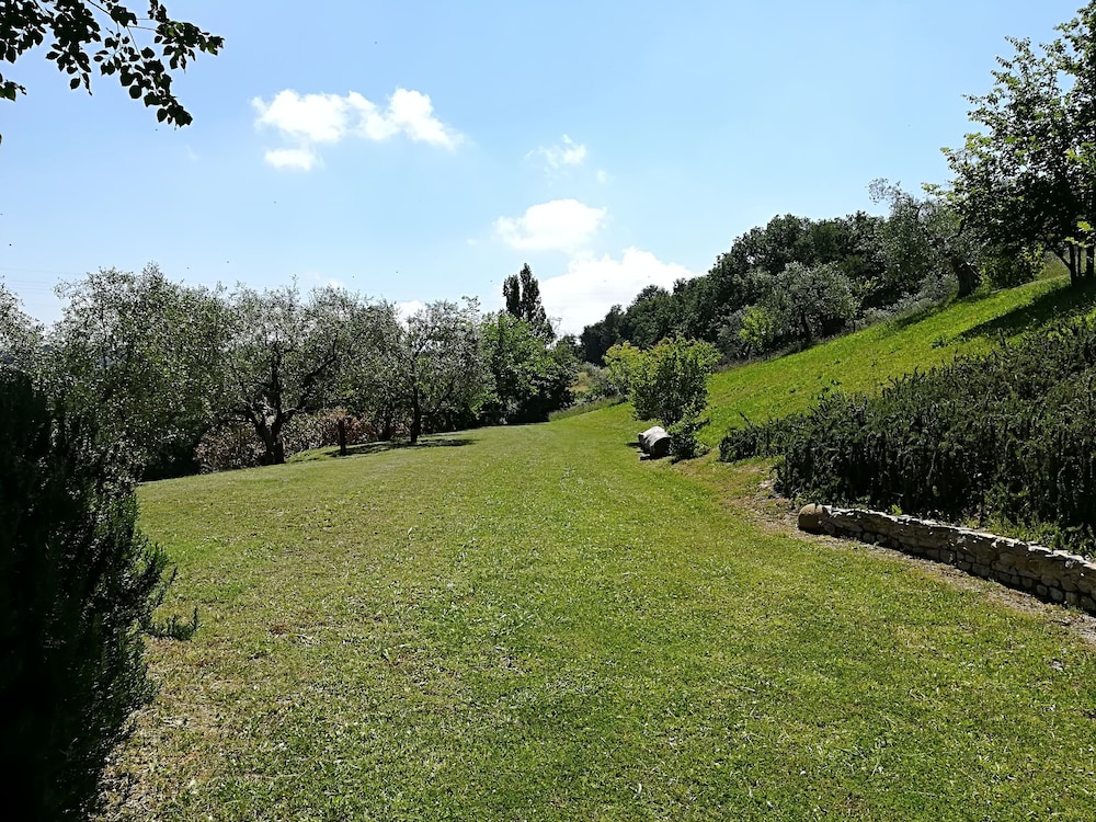 Photo 30