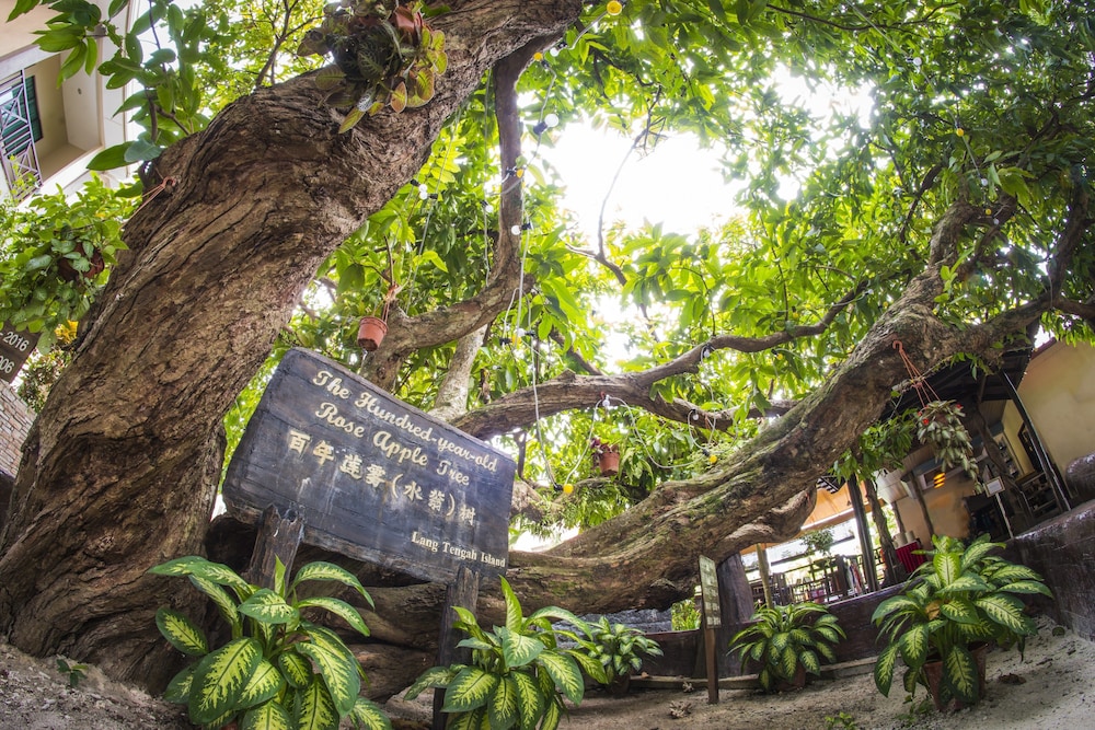 Summer Bay Resort, Lang Tengah Island