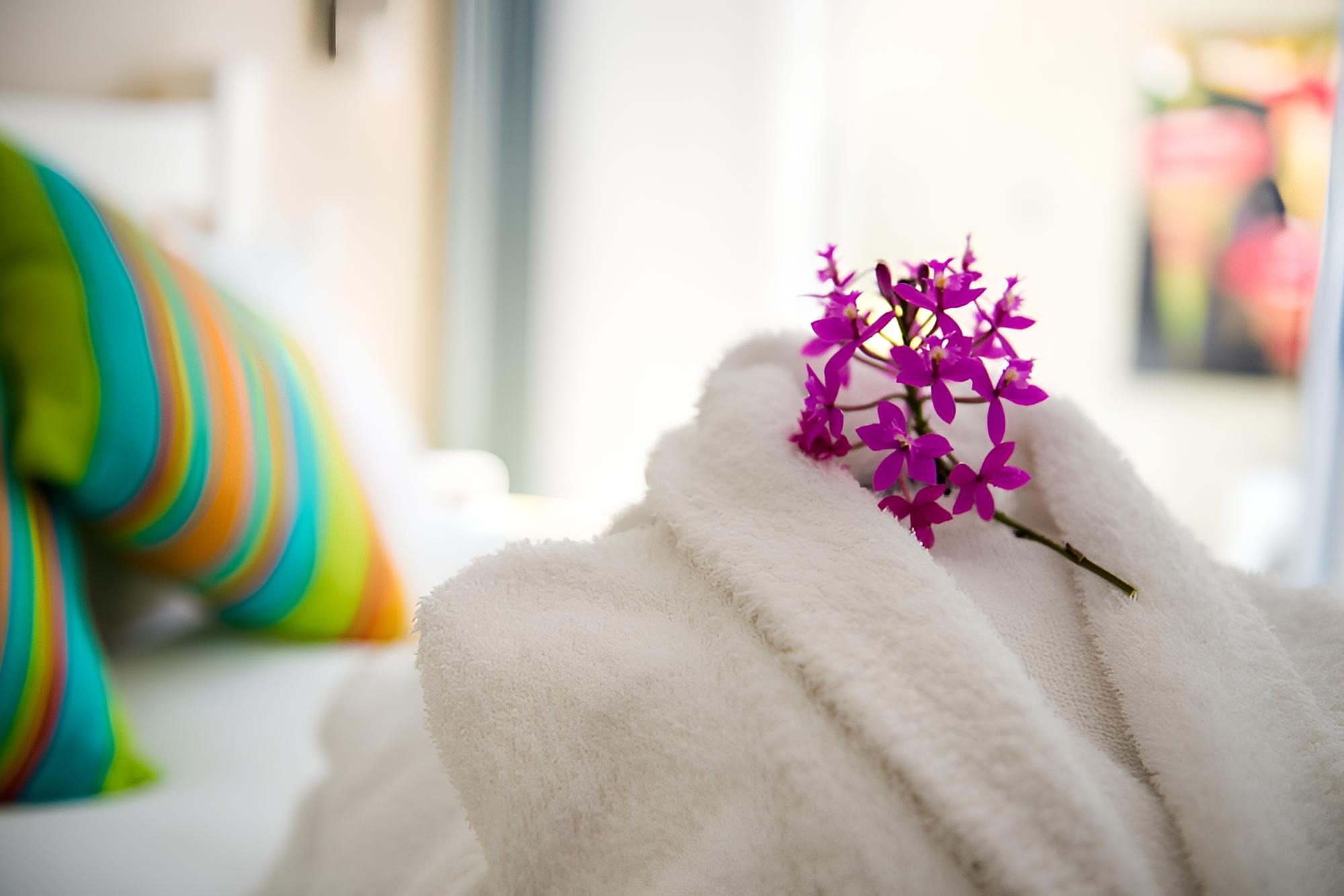 Nelson Bay Bed & Breakfast