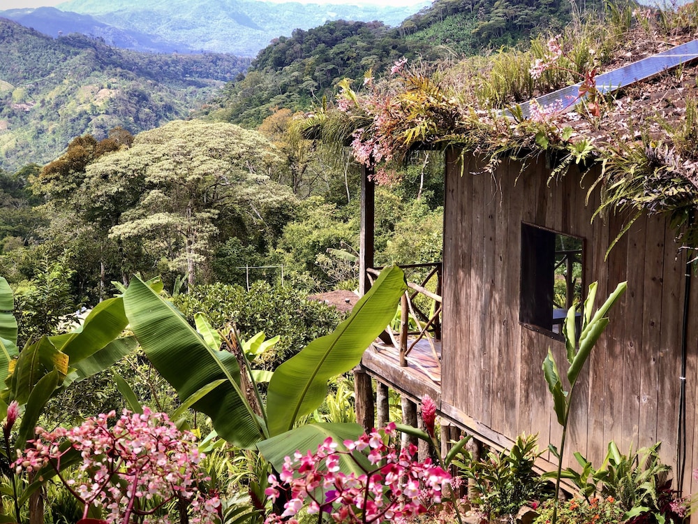Finca Esperanza Verde view 4
