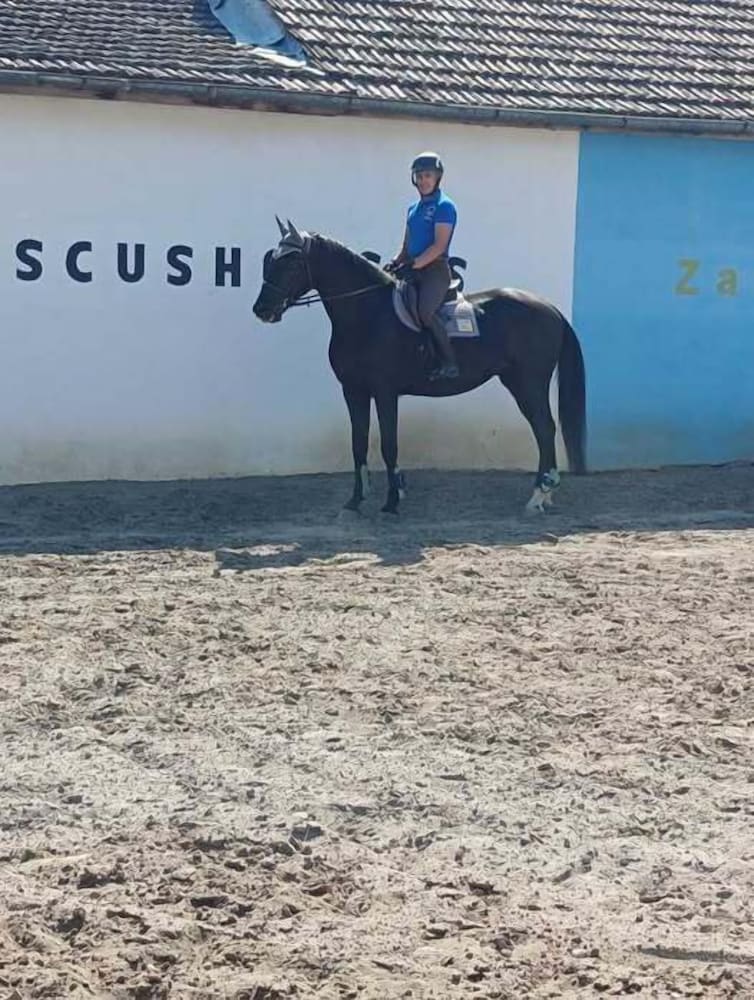 ESCUS HORSES