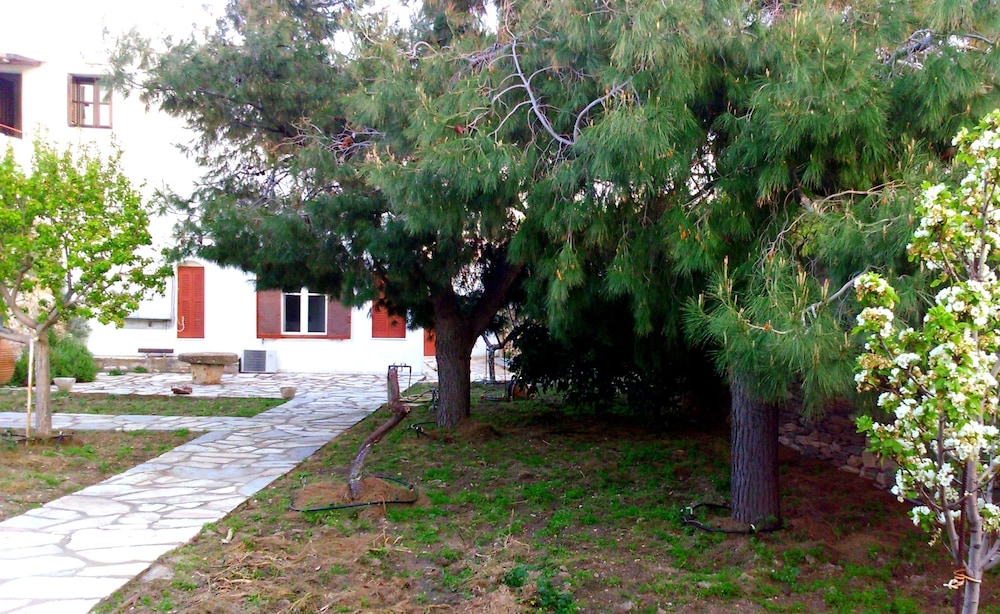 Windmill Complex