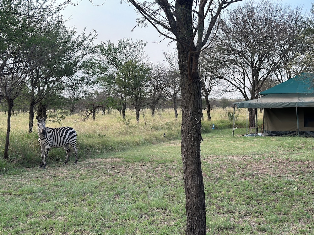 ZUHUMATH TENTED CAMPS SERENGETI