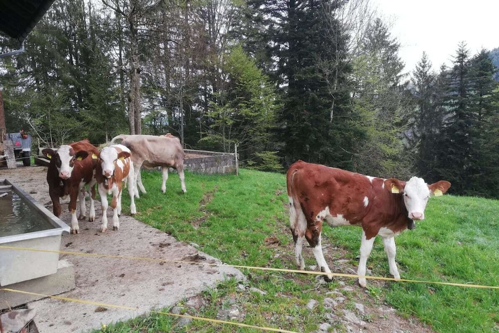 Ausblickhof