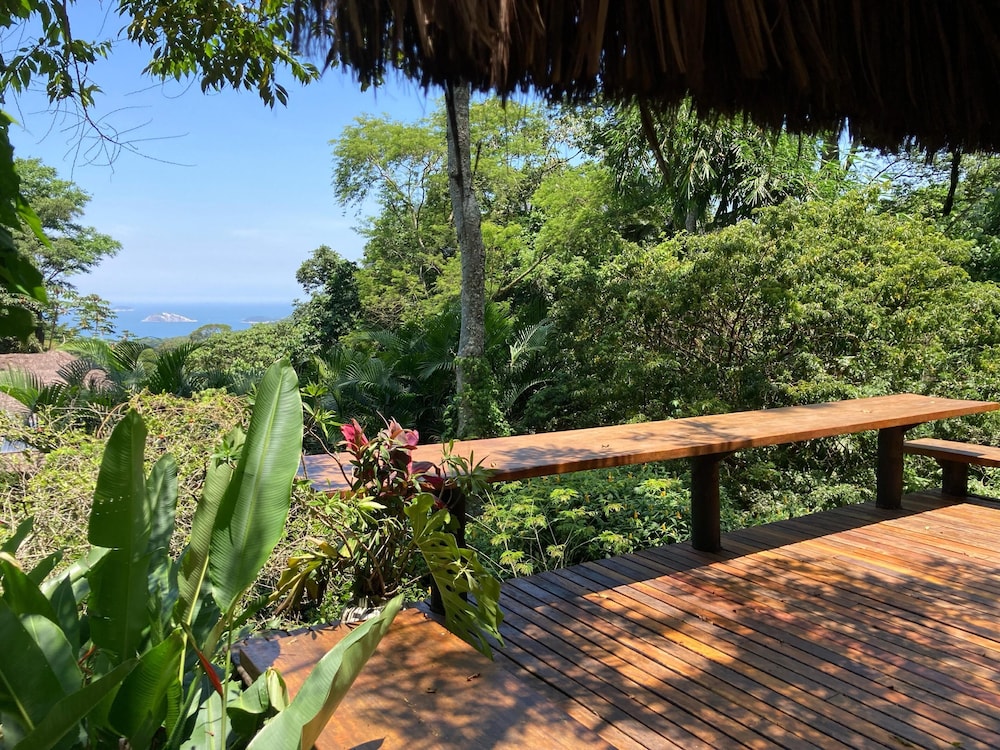 Rainforest Paradise