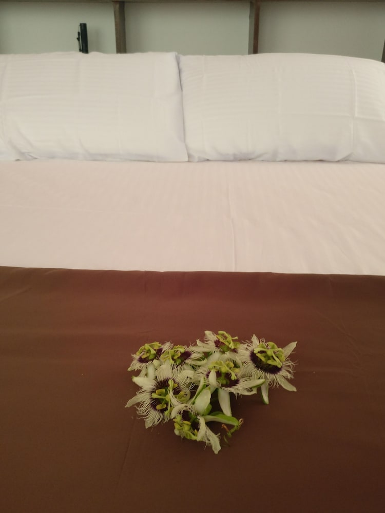 Baivaru Guesthouse Services