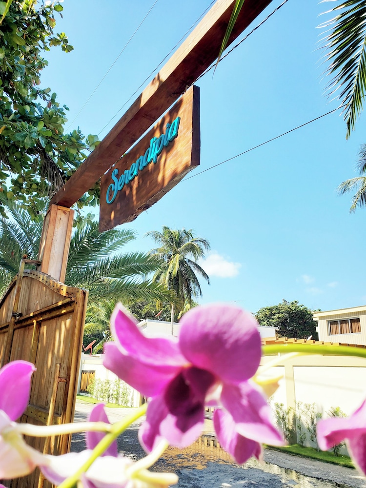 Serendipia Hotel