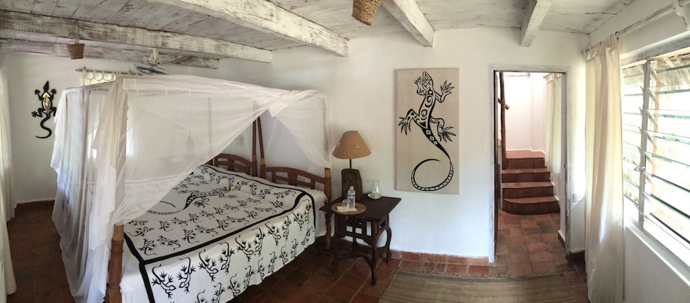 Diani house