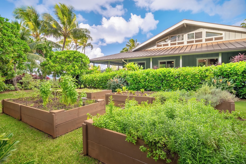 Secret Beach House in Kilauea