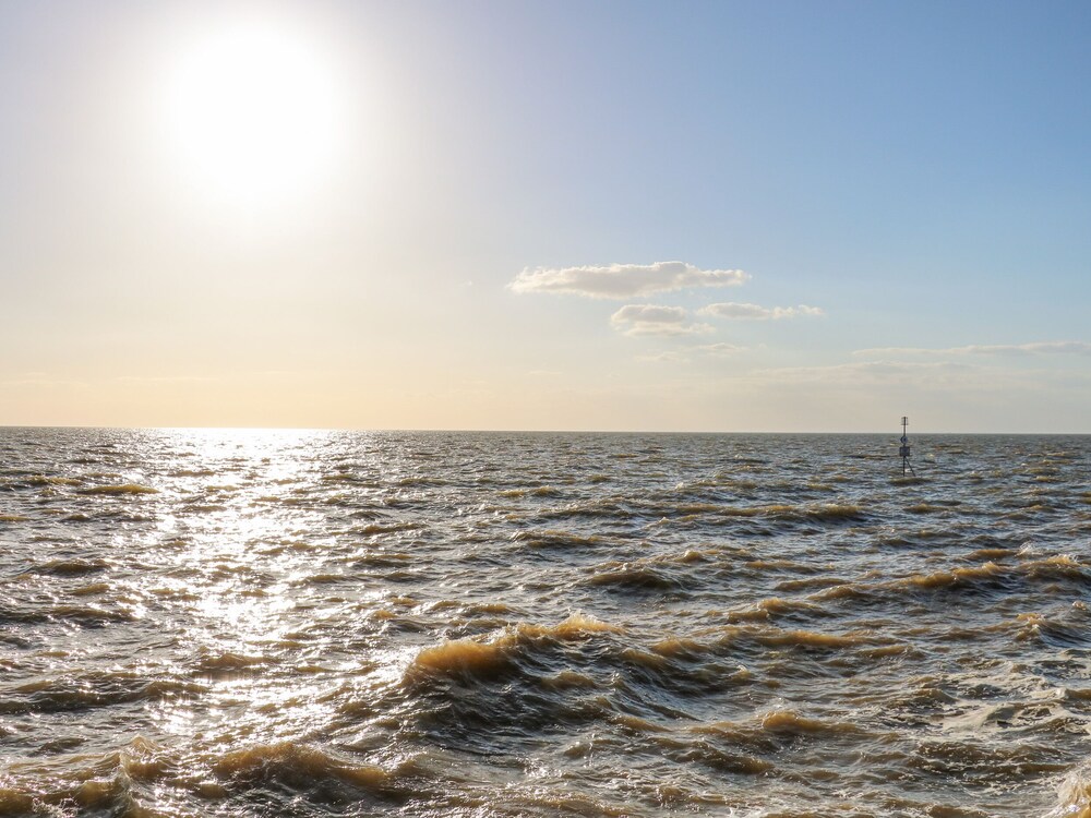 See The Sea