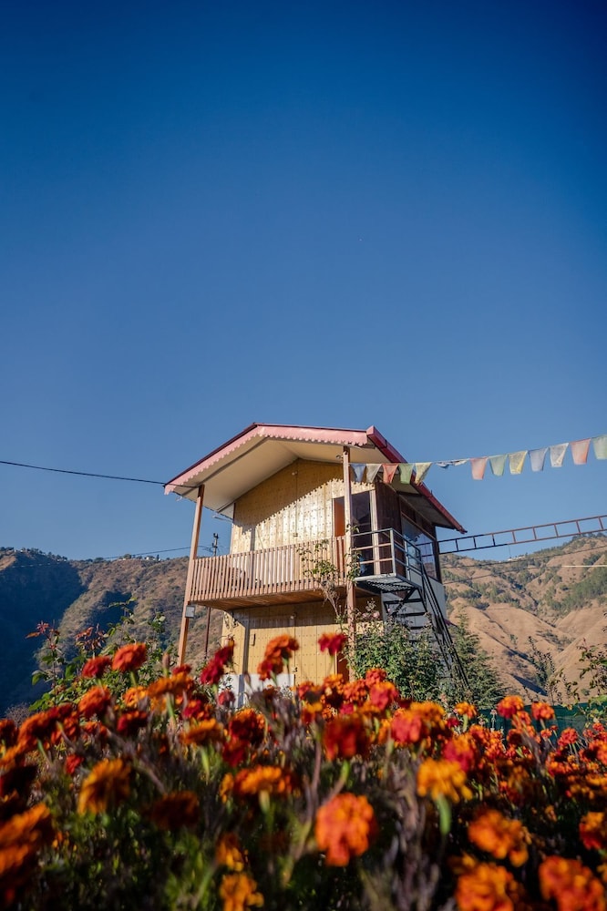 Deodar Dreams Resort