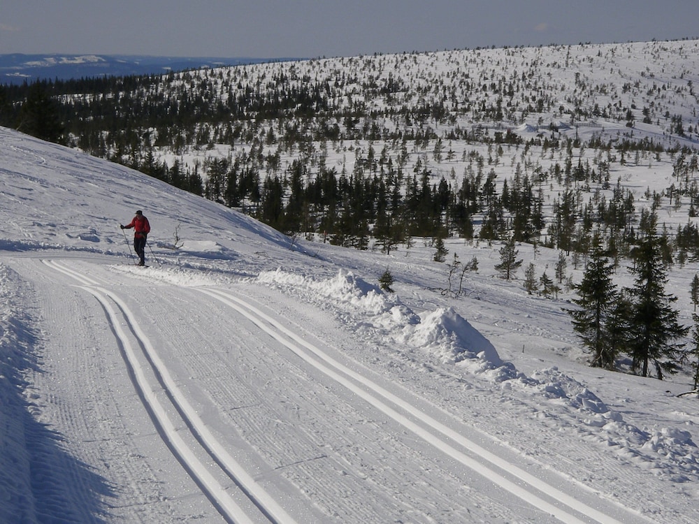 Photo 41