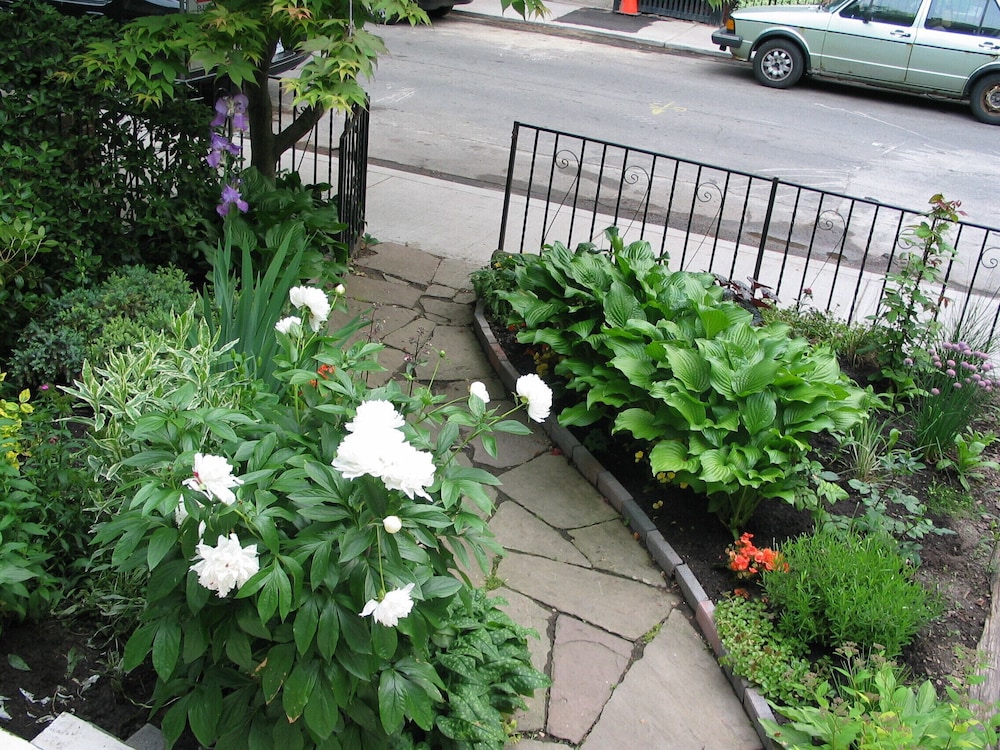 Photo 32