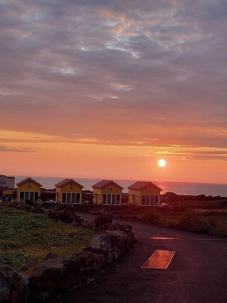 Udo Sunflower pension