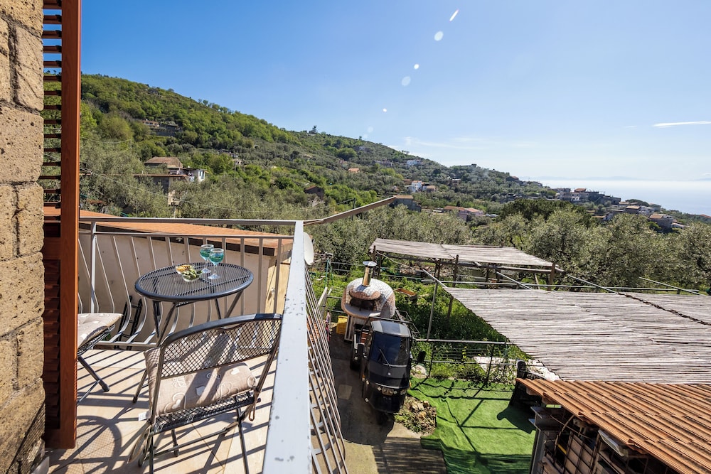 Sky Blue Guesthouse