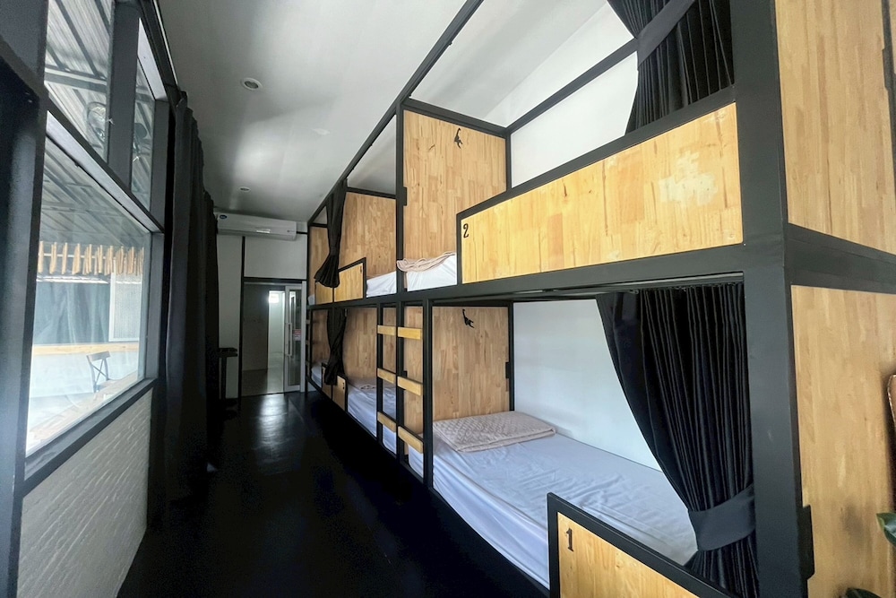 Lazy Lizard Hostel