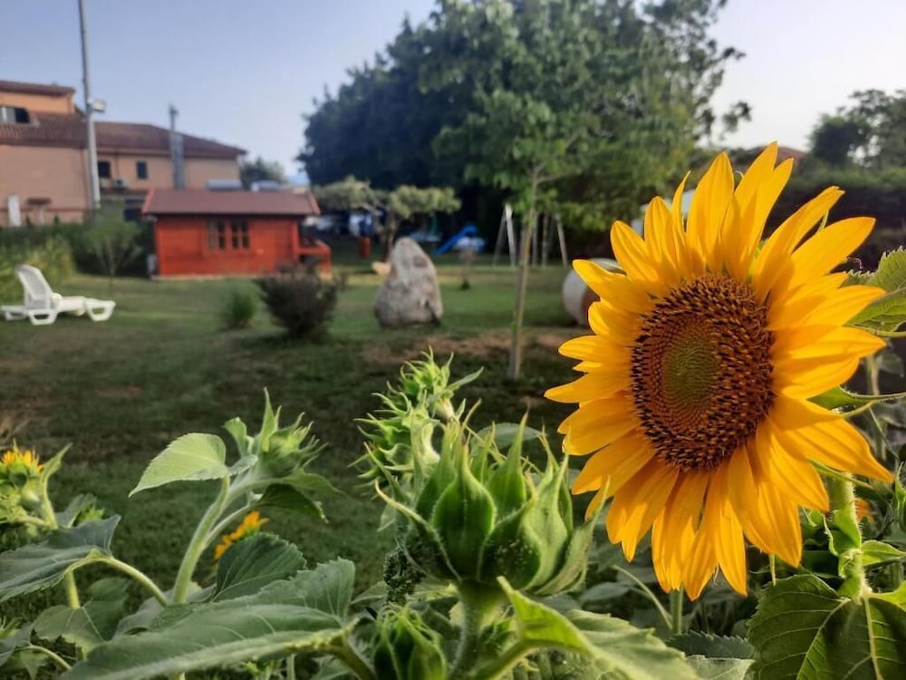 Residence Il Tiglio