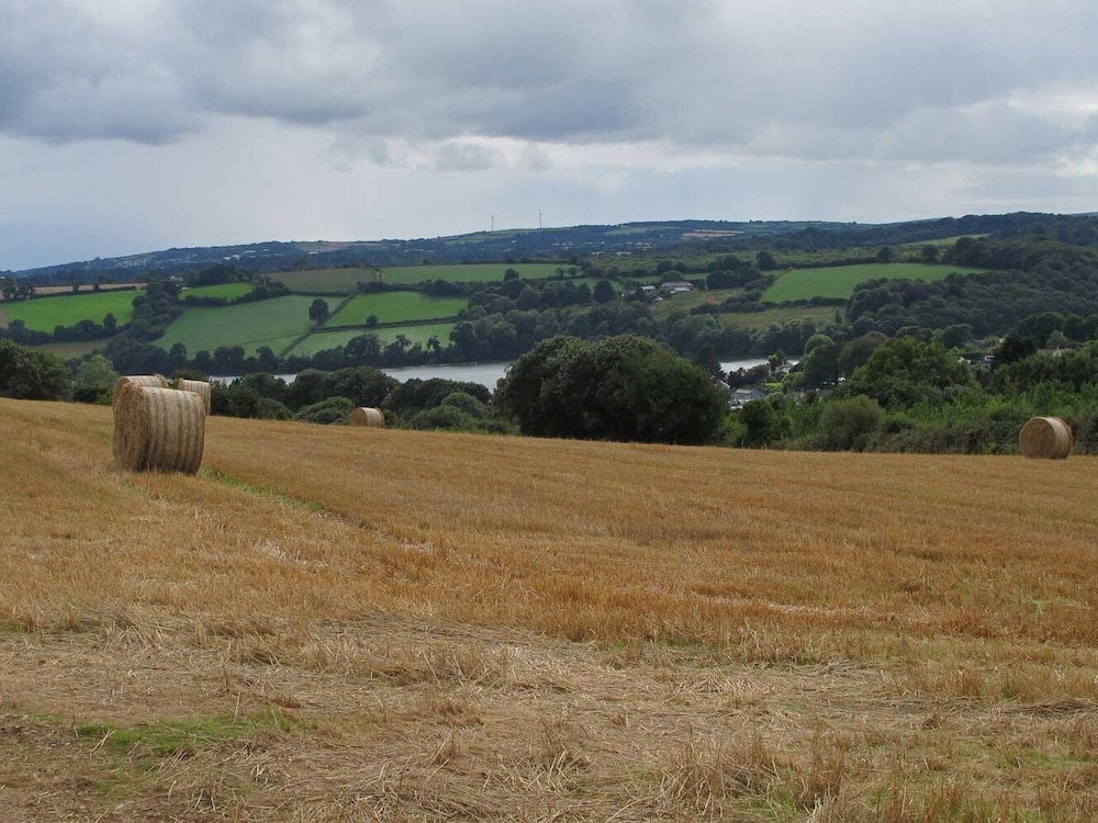 The Meadow