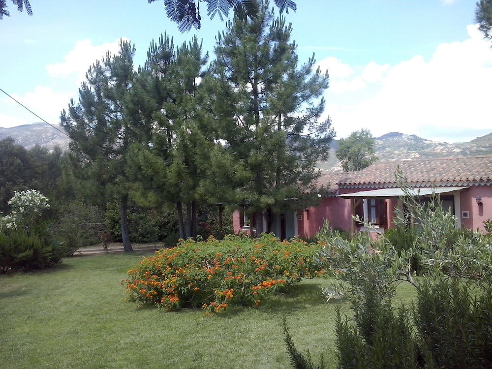 Photo 46