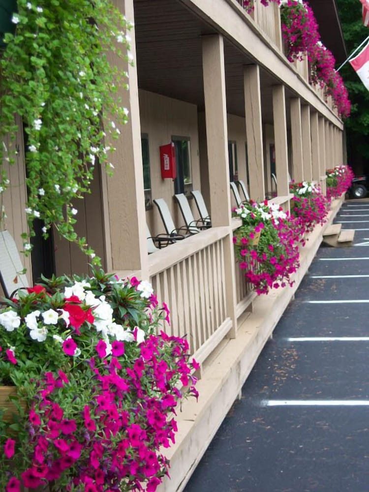 Tall Pines Motel