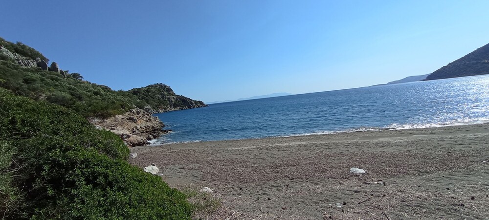 Photo 44