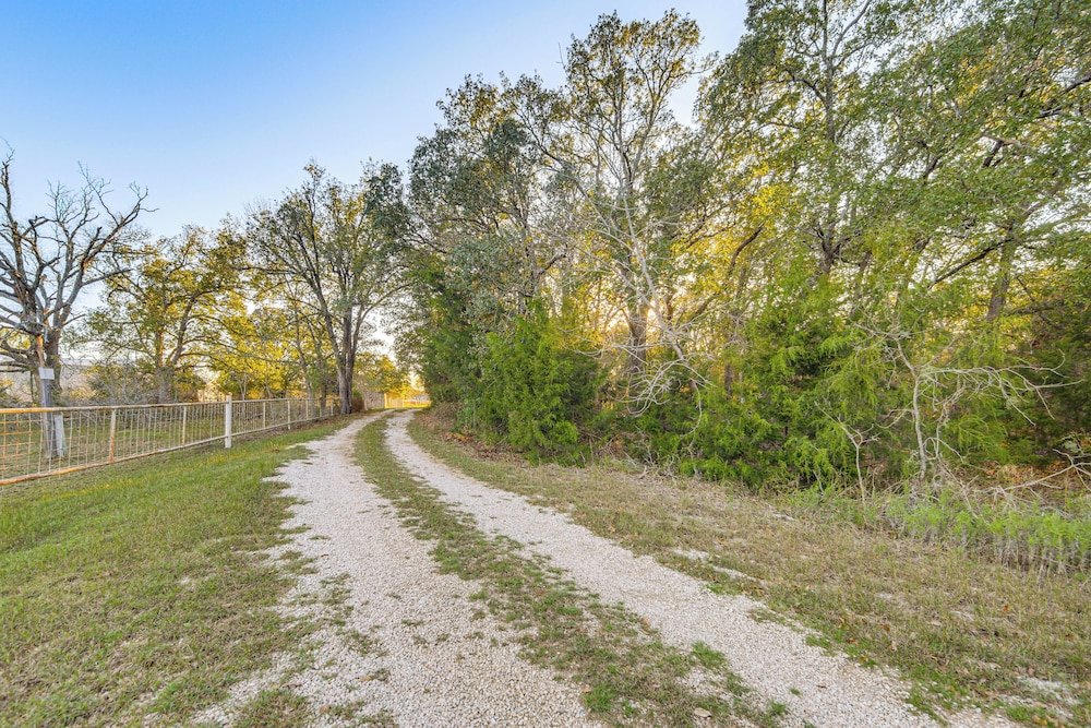 Game Room, Trails! 30-acre Lakefront Streetman Gem