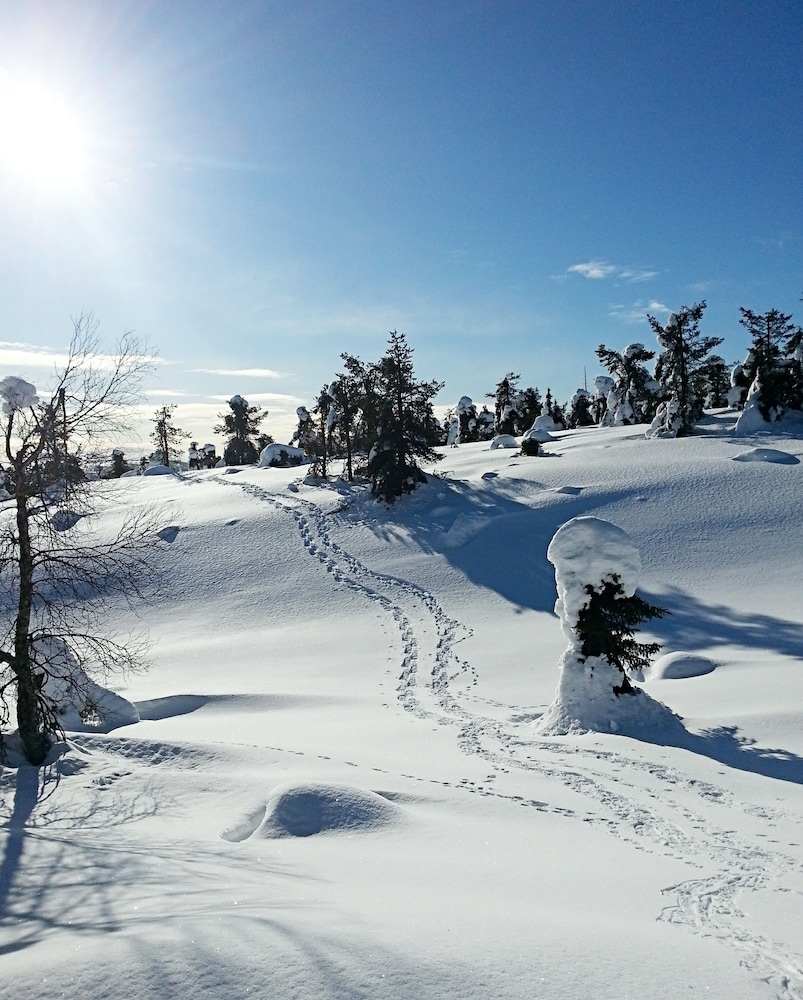 Seita Cabins