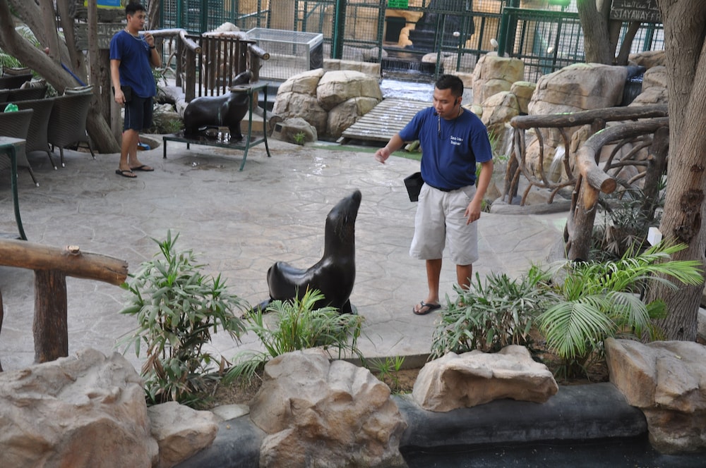 Abu Dhabi Vacations - Emirates Park Resort - Property Image 2