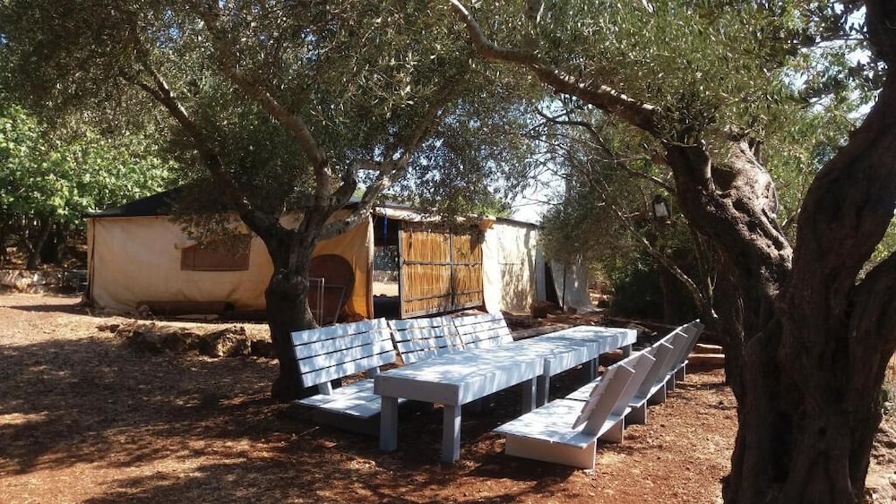 Four of a Kind Hostel