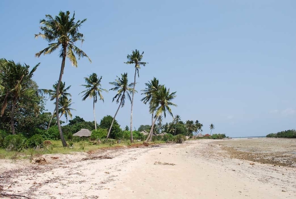 Diani house