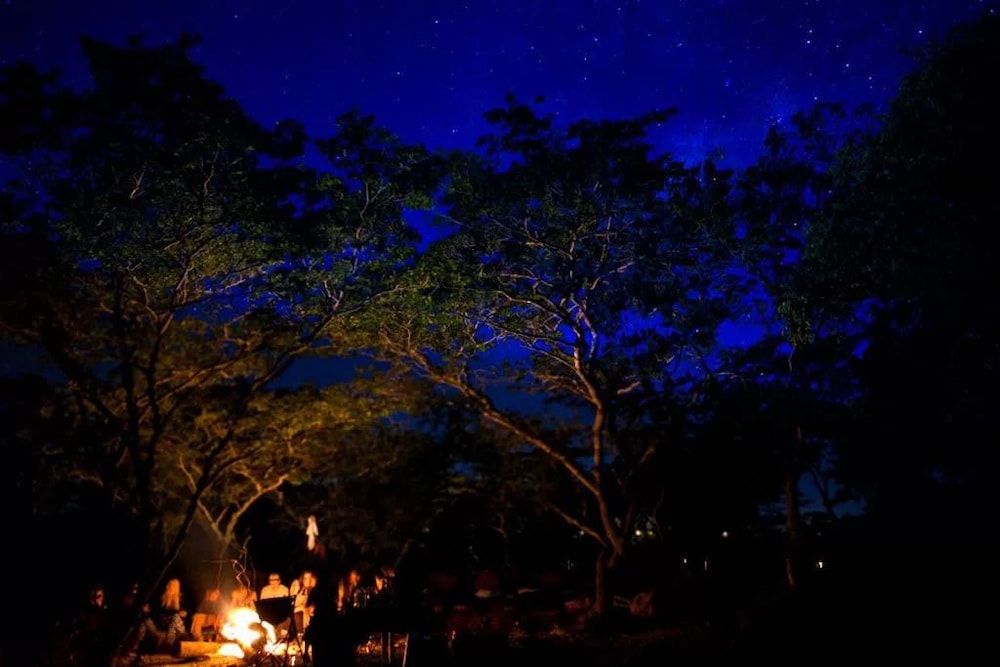 Antelope Park Safari Lodge