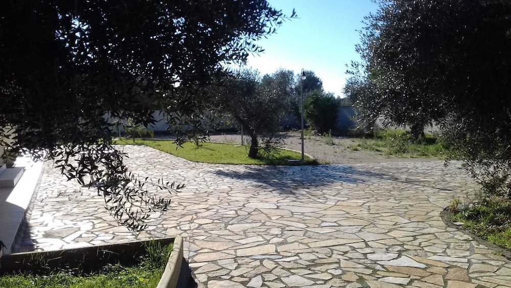 Photo 26